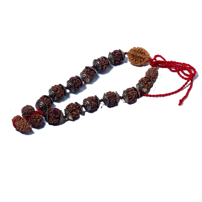 Rudraksha Mala (Mota Seeds)