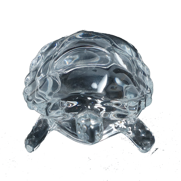 Crystal Kachhwa- 3 × 2Inches