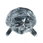 Crystal Kachhwa- 3 × 2Inches