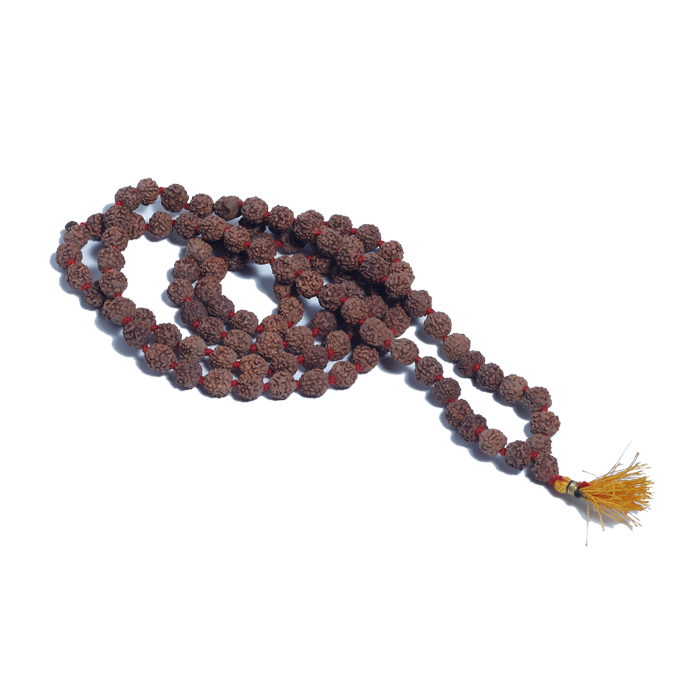Rudraksha Mala (Mota Seeds)