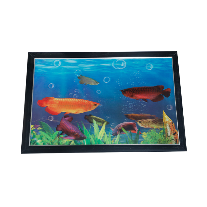 Fish Photo Frame - 17 × 25 Inches