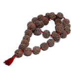 Rudraksha Mala