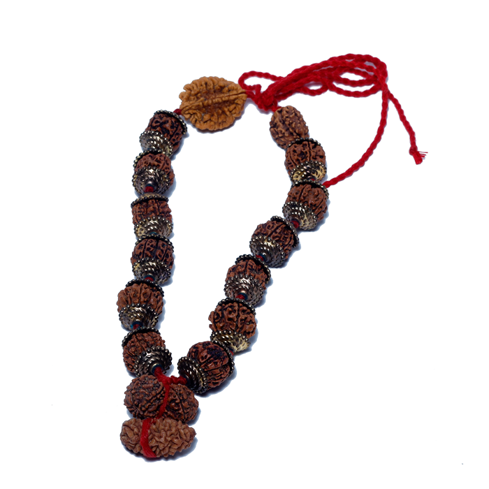 Rudraksha Mala (Mota Seeds)