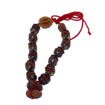 Rudraksha Mala (Mota Seeds)