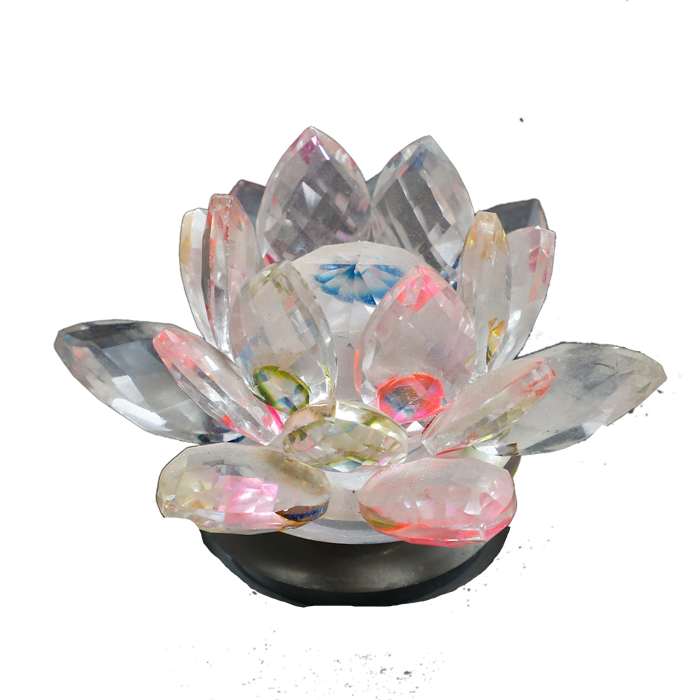 Lotus Tree-3 × 3Inches