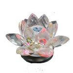 Lotus Tree-3 × 3Inches