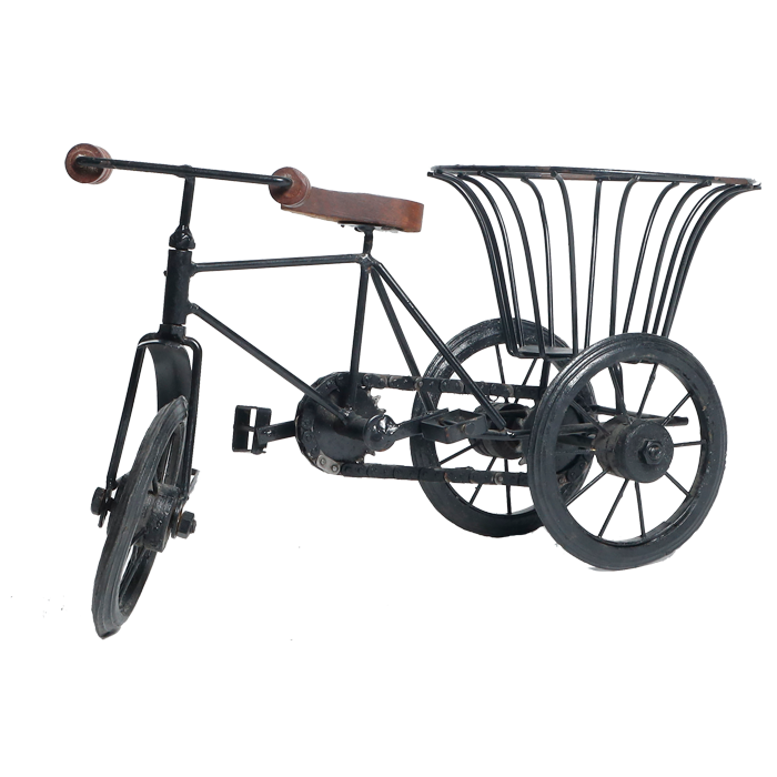 Cycle Tokri