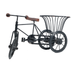 Cycle Tokri