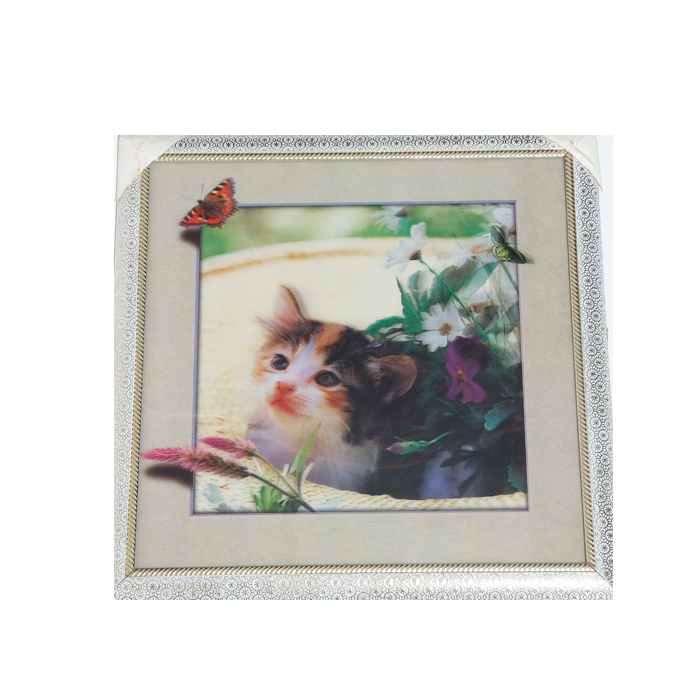 Cat 3D Photo Frame - 17 × 17 Inches
