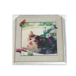 Cat 3D Photo Frame - 17 × 17 Inches