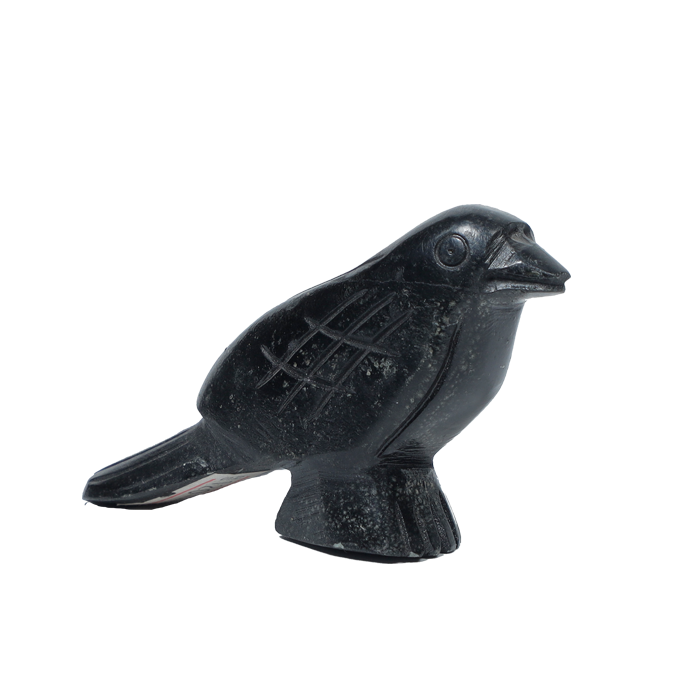 Raven Fetish Carving by Hayes Leekya -1.5 × 3.7 Inches