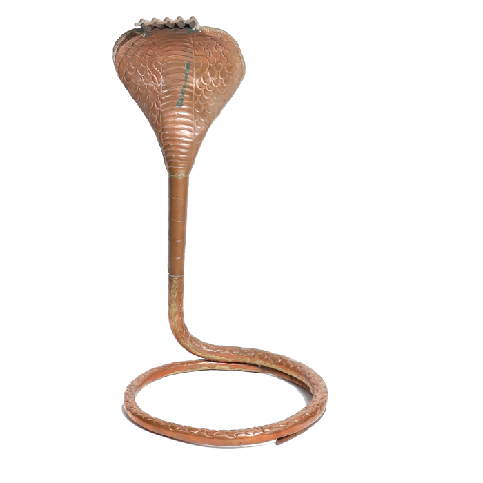 Naag No. 4