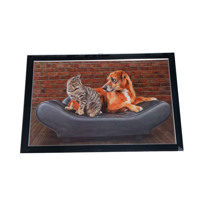 Dog And Cat Photo Frame - 17 × 25 Inches