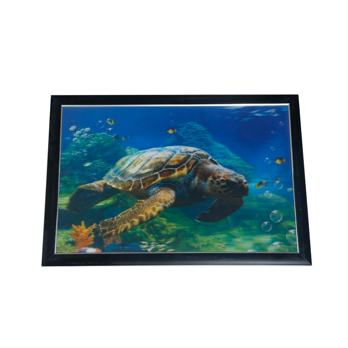 Turtle Photo Frame - 17 × 25 Inches