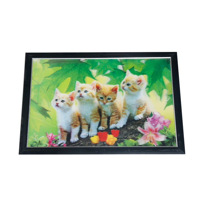 Cat Photo Frame - 17 × 25 Inches