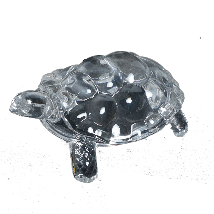 Crystal Kachhwa- 5 × 3Inches