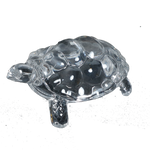 Crystal Kachhwa- 5 × 3Inches