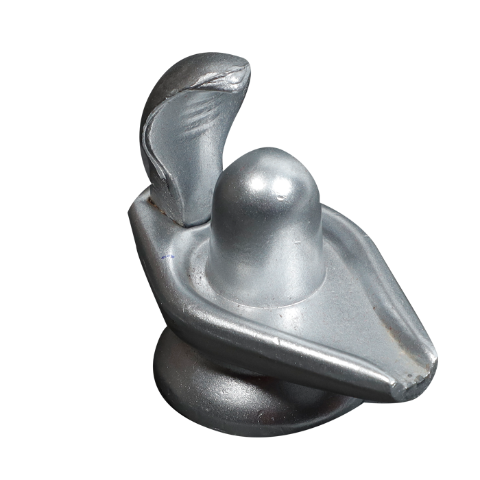 Para Shiv Ling Snake