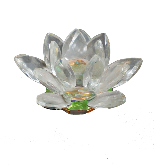 Lotus Tree-2 × 3Inches