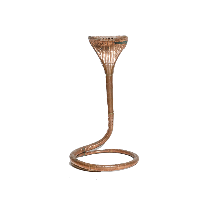 Naag No. 8