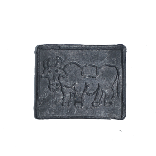 Copper Square Coin of Apollodotusv - 1.4 × 1.4 Inches