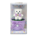 Multicolor Teddy Bear With Bucket Photo - 5 × 3 Inches | For Home Decor And Gifts