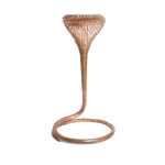 Naag No. 5