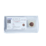 6Mukhi Rudraksha