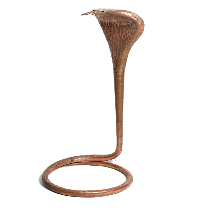 Naag No. 5