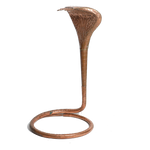 Naag No. 5