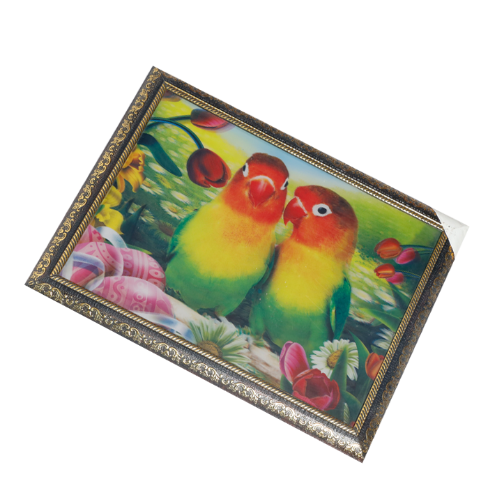 Parrot Painting 3D Photo Frame - 14 × 17 Inches