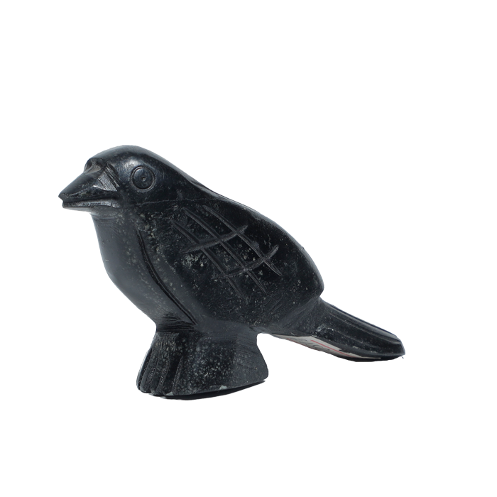 Raven Fetish Carving by Hayes Leekya -1.5 × 3.7 Inches