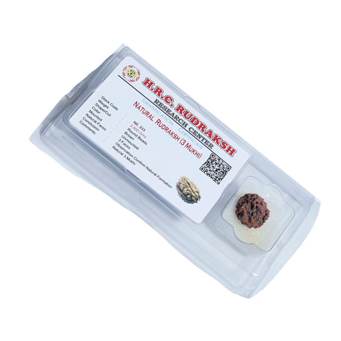 3 Mukhi Rudraksha