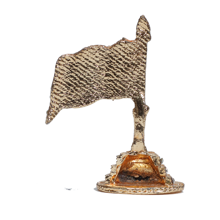 Golden Indian National Flag