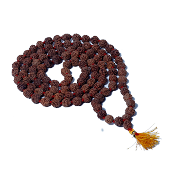 Rudraksha Mala (Mota Seeds)