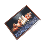 7 Running Vastu Shastr Brown And White Horse Photo Frame - 22 × 30 Inches | For Home Decor And Gifts