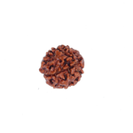 4 Mukhi Rudraksha