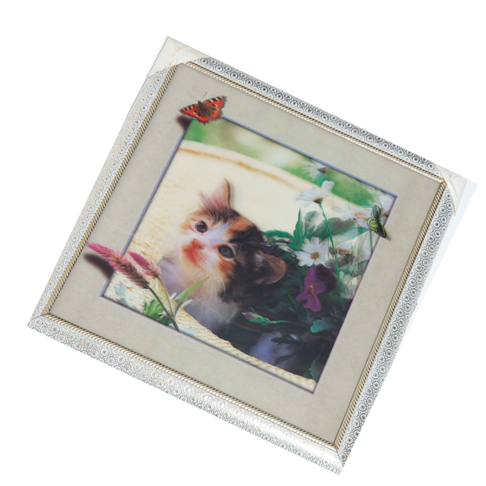 Cat 3D Photo Frame - 17 × 17 Inches
