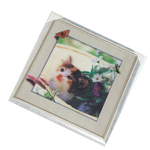 Cat 3D Photo Frame - 17 × 17 Inches