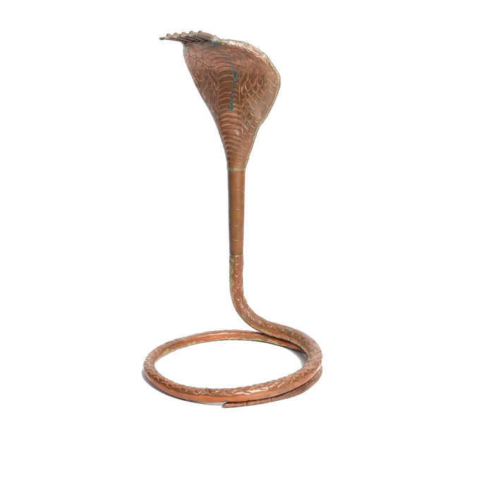 Naag No. 4