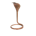 Naag No. 4