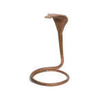 Naag No. 1