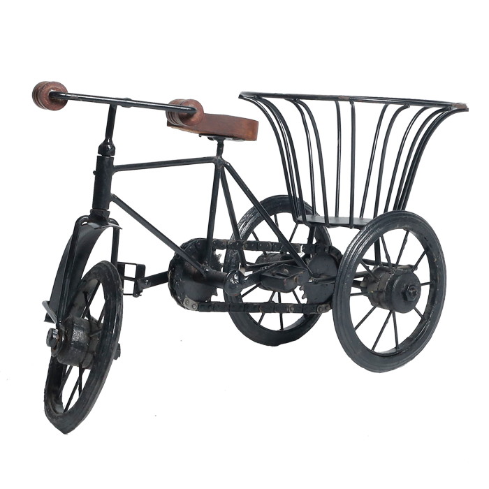 Cycle Tokri
