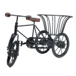 Cycle Tokri