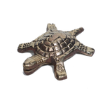 Antique Brass Turtle - 3.4 × 3.4 Inches