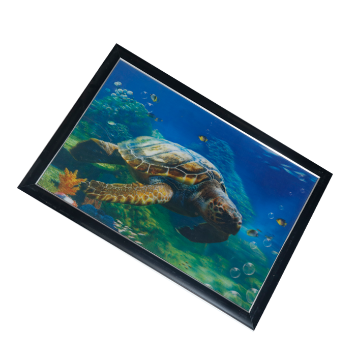 Turtle Photo Frame - 17 × 25 Inches