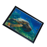 Turtle Photo Frame - 17 × 25 Inches