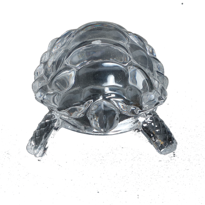 Crystal Kachhwa- 5 × 3Inches