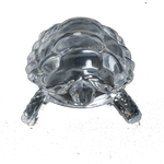 Crystal Kachhwa- 5 × 3Inches