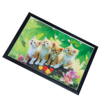 Cat Photo Frame - 17 × 25 Inches
